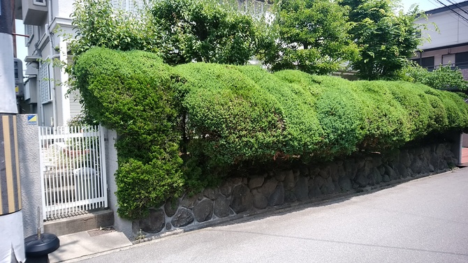 Before